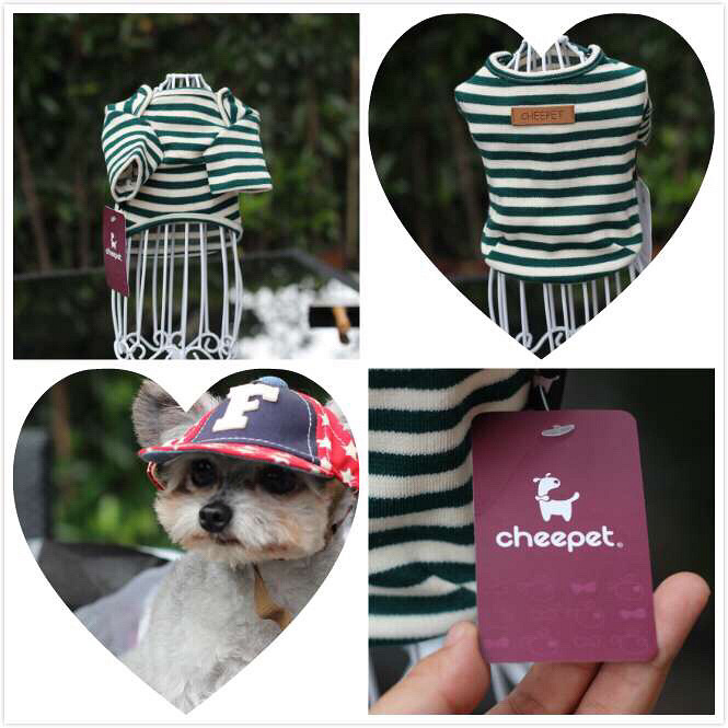 ��Ҫ�ó����κ���