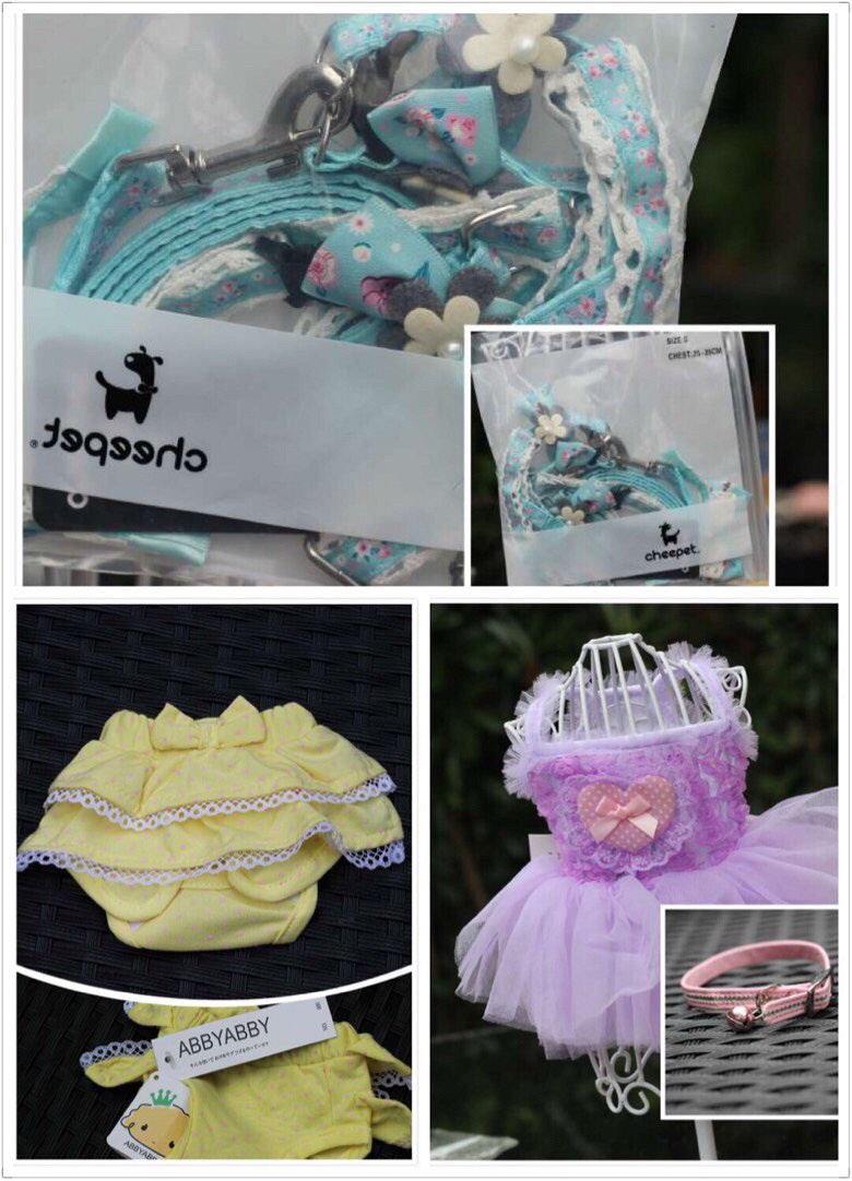 ��Ҫ�ó����κ���