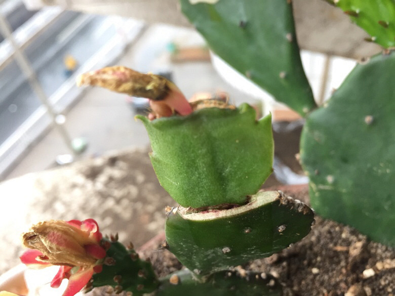 ���Ϸ��־�ϲ��