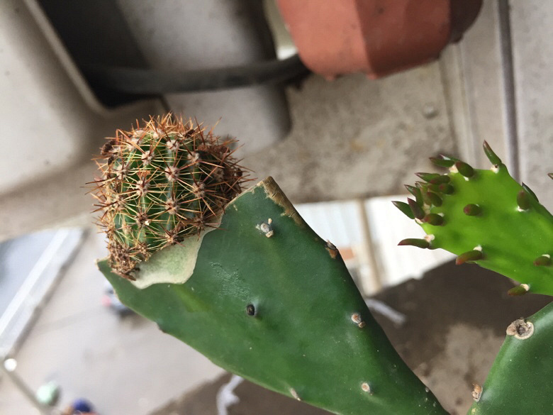 ���Ϸ��־�ϲ��