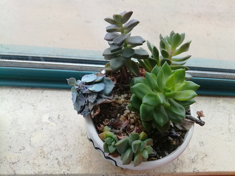 ��æ����Ӧ����ô��