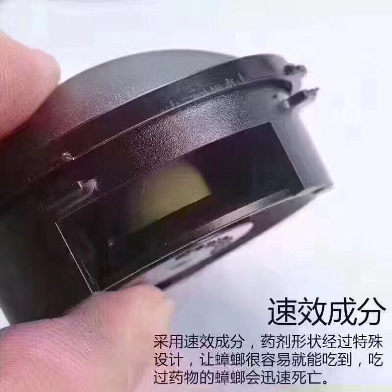 Сǿ���ǣ�һ����