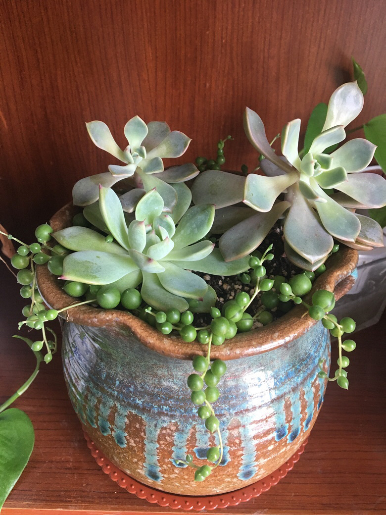 ���Ʋ���Ŷ