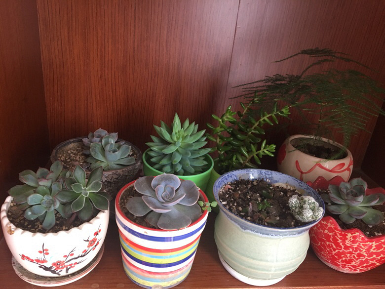 ���Ʋ���Ŷ