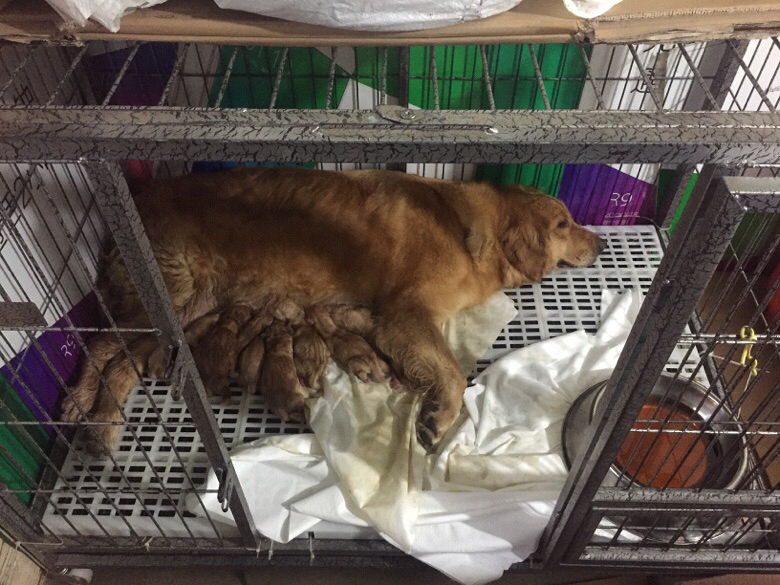 ��������ëѩ����̩�ϱ��ܳ�����