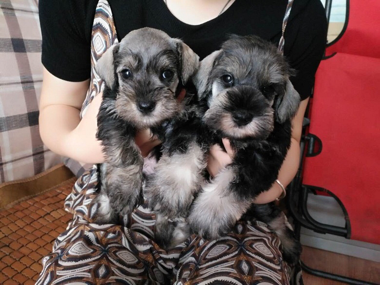 ֣�������谮�м�������Ǻ������ĳ����