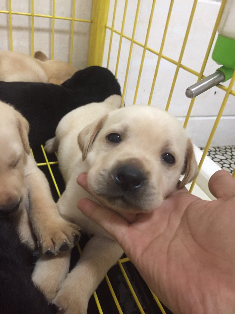 ��������������Ȯһ�ѣ���֤�����ֱ���