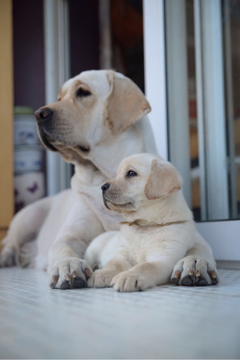 ��������������Ȯһ�ѣ���֤�����ֱ���