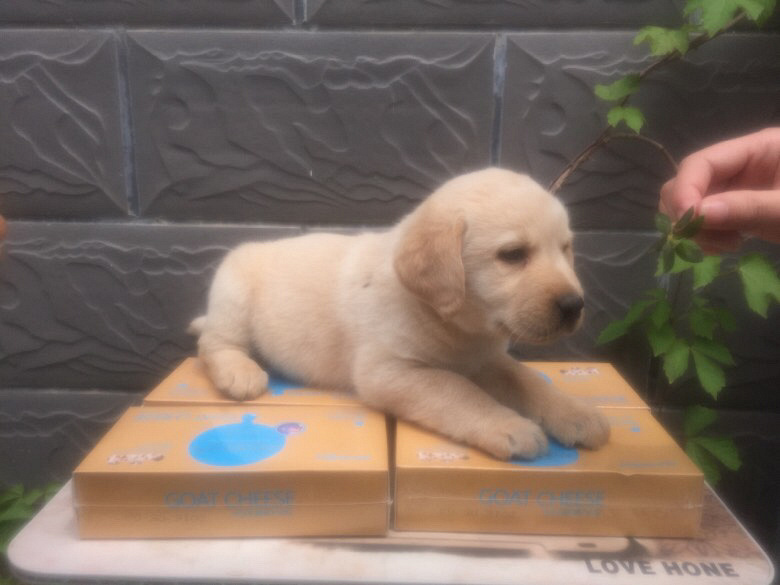 ��������������Ȯһ�ѣ���֤�����ֱ���