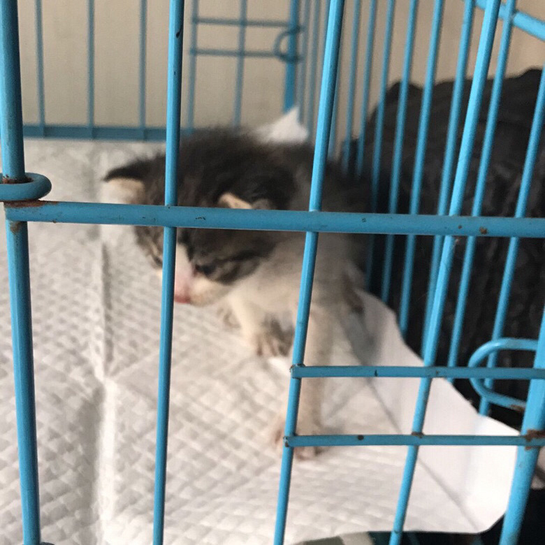 С��è��������è��·�ţ���ϵ�绰��189