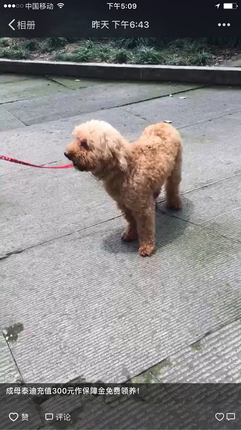 �����ٱ��Ͻ��ĸ̩���������