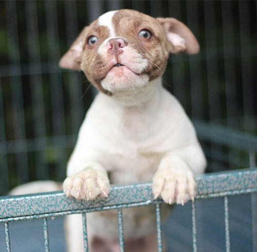 ��һ��Խ���Ǽ��ɰ�����ţ����~