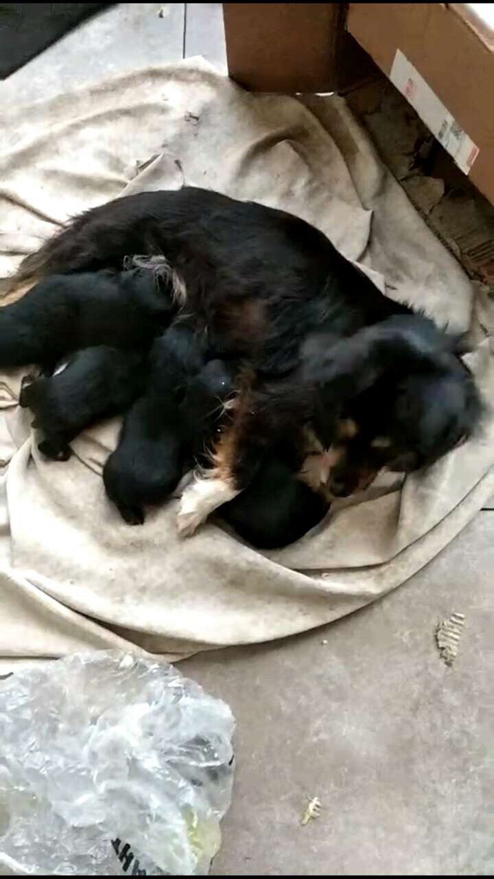 �������ˣ�����Ȥ��������ϵ��ʽ���ң�