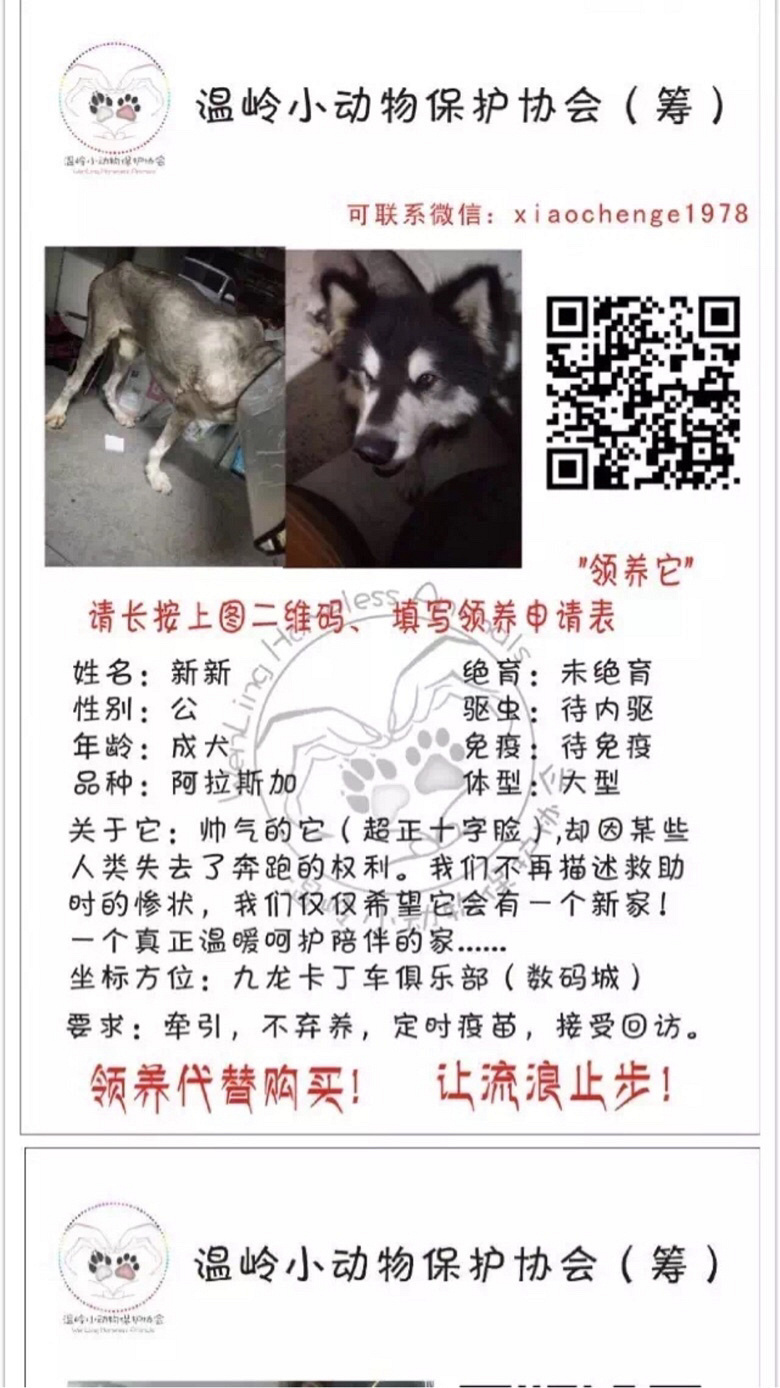 ��Ҹ���Ȥ���Լ��룺���������������Ȧ