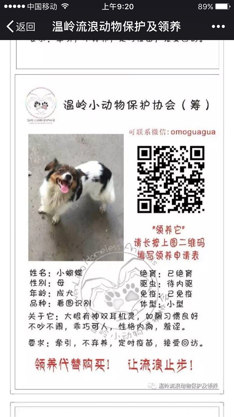��Ҹ���Ȥ���Լ��룺���������������Ȧ