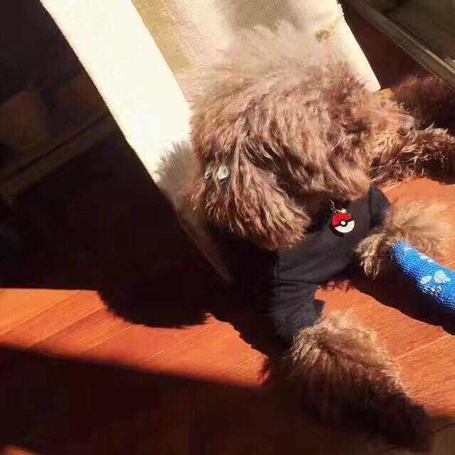 14��������ʱ�����ڽ����������٣�����С