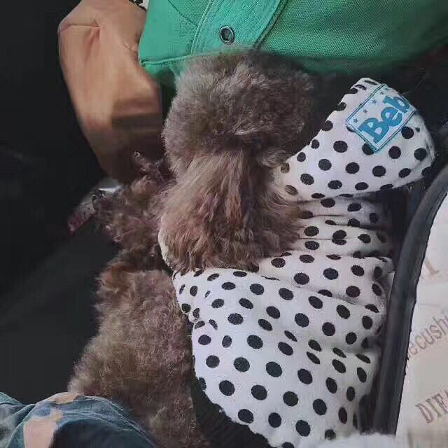 14��������ʱ�����ڽ����������٣�����С