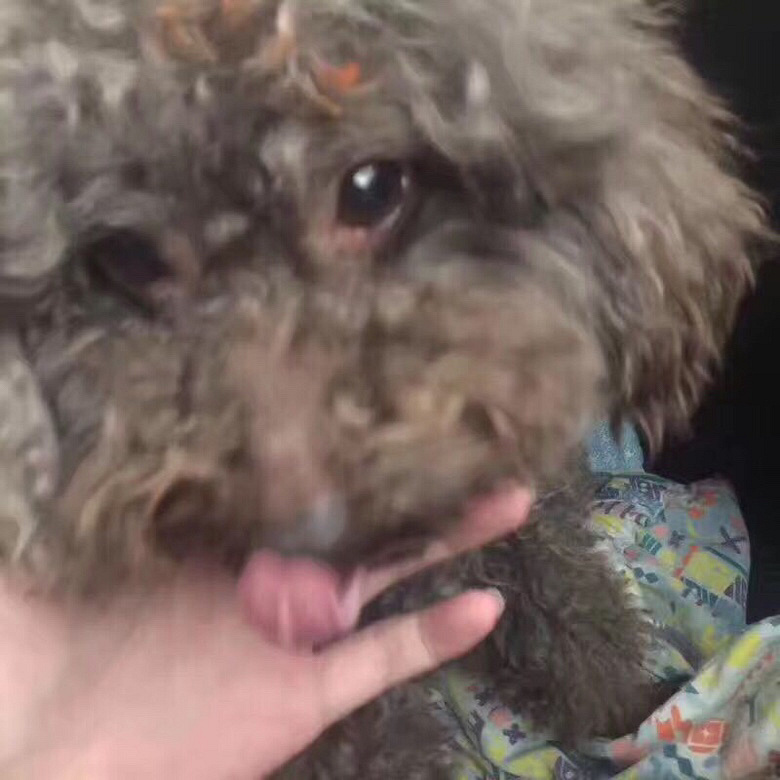 14��������ʱ�����ڽ����������٣�����С