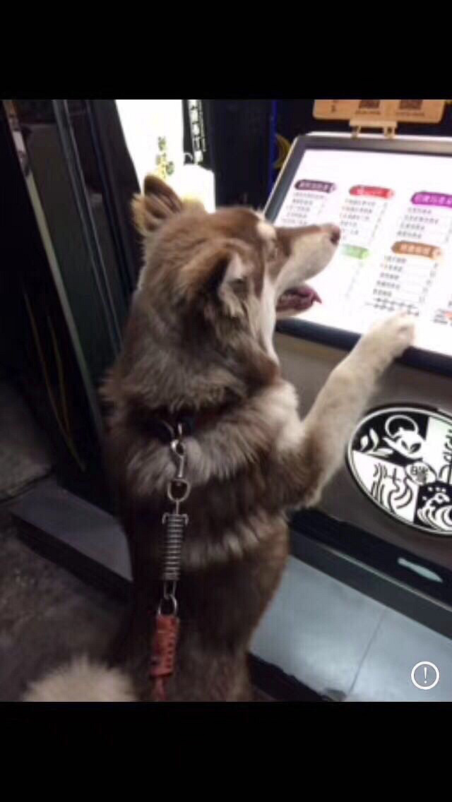 Ѱ�Ұ�������ɫ����˹�ӣ�����Ԫ�����и���