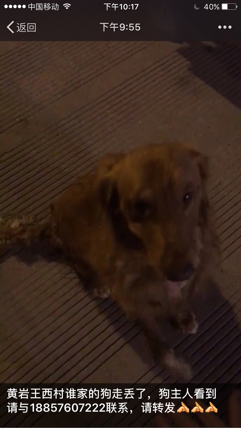 ���ң�˭�Ҷ����ˣ�