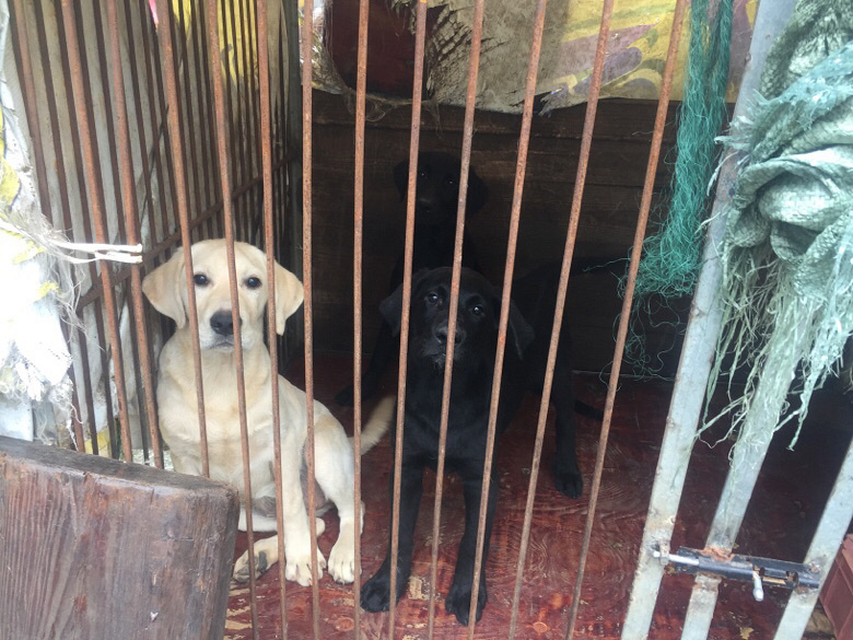 �������������