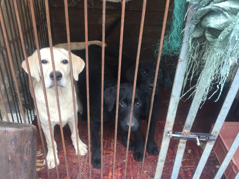 �������������