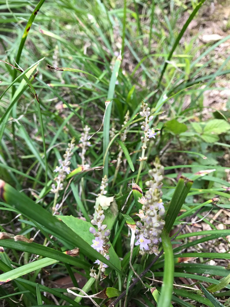 618九张图打卡美景