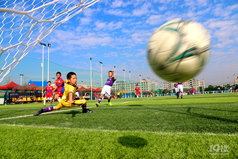 【鸵鸟足球】足球梦想从此起航,现在报名可免