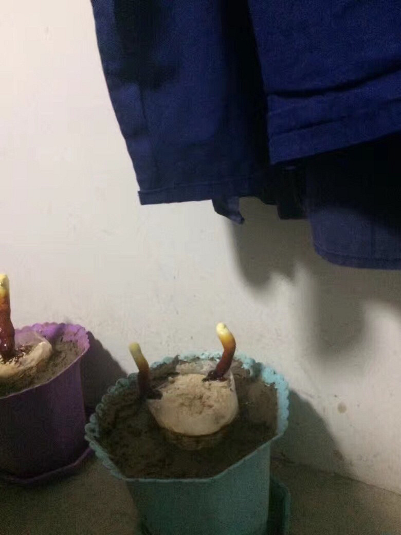 ��֥������