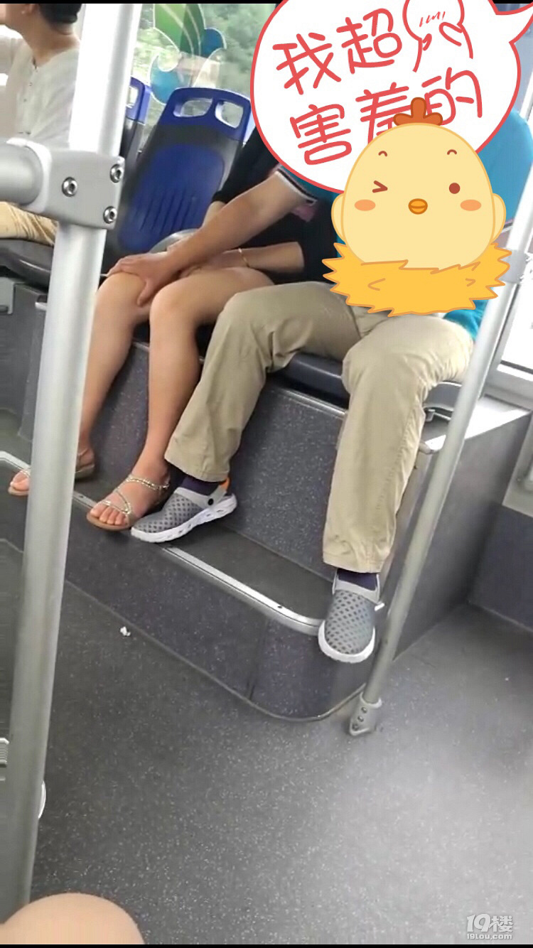 爆料902路公交车里遇激情男女男的从黄岩摸到椒江