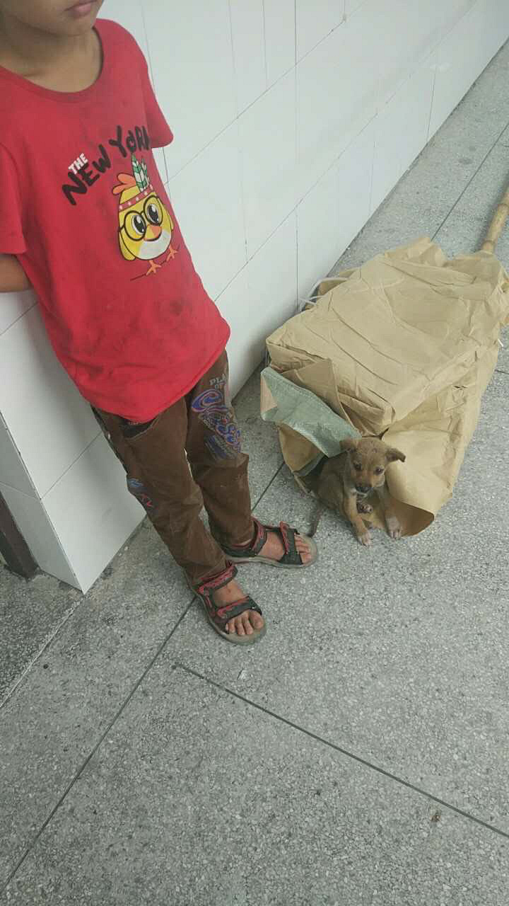 �ɰ����к��Ӽ����˵�С�������������ˣ�