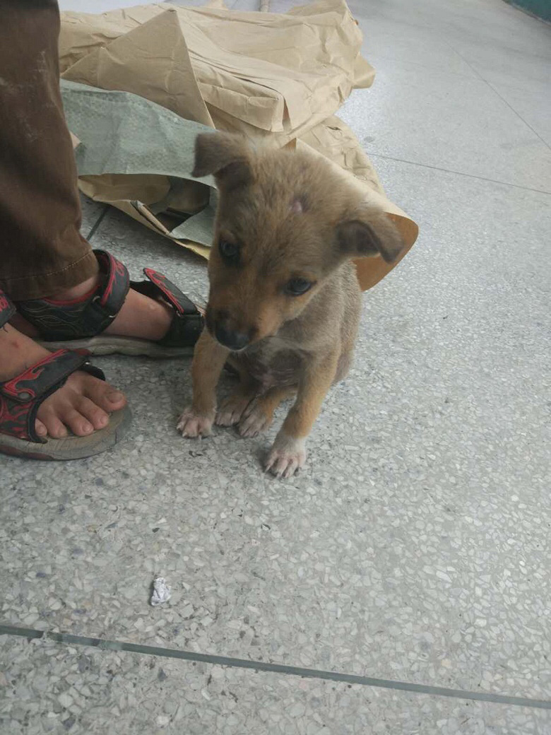 �ɰ����к��Ӽ����˵�С�������������ˣ�