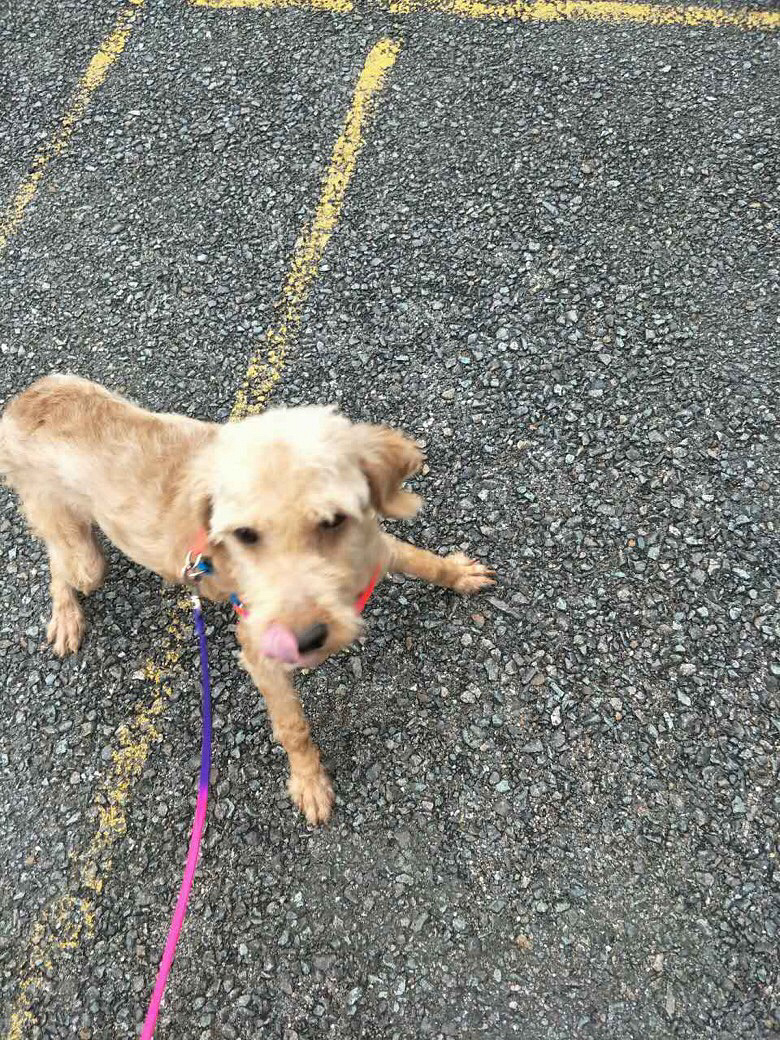 ����ĸ̩����������������Ȥ�����ԣ�