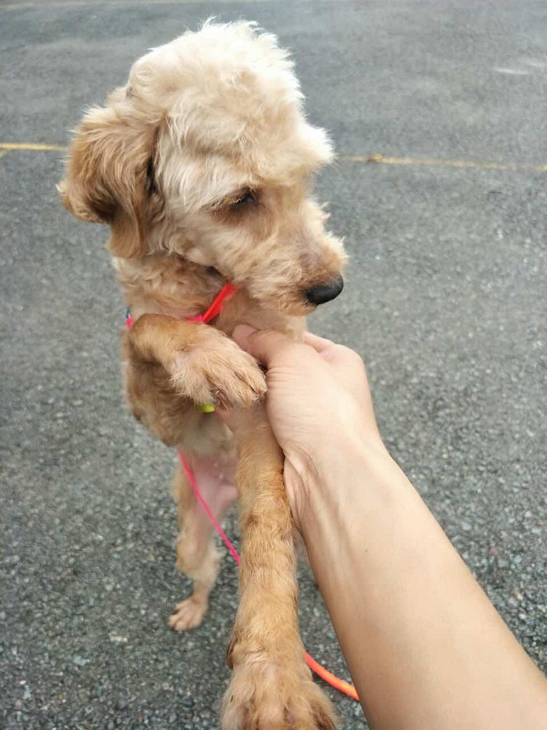 ����ĸ̩����������������Ȥ�����ԣ�