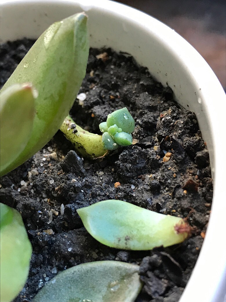 �����ˣ���ô�죿��ɫ��С���ӣ���С��С��