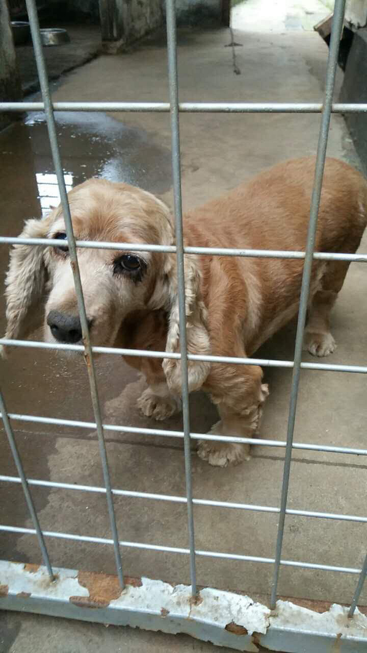 ����̩�ϣ�һ��������������������ĸȮ