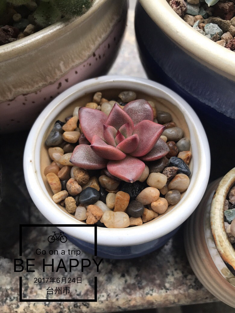 һ���ģ���͹���