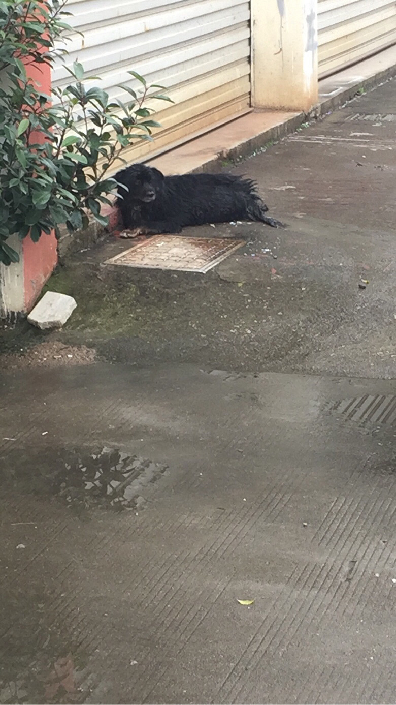 �����һ����� ����·��