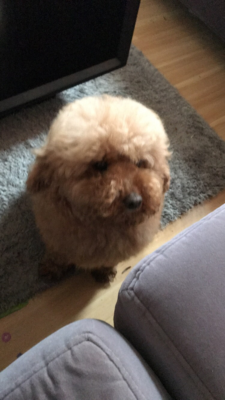 Ѱ����ʾ����Ѱ����ʾ����