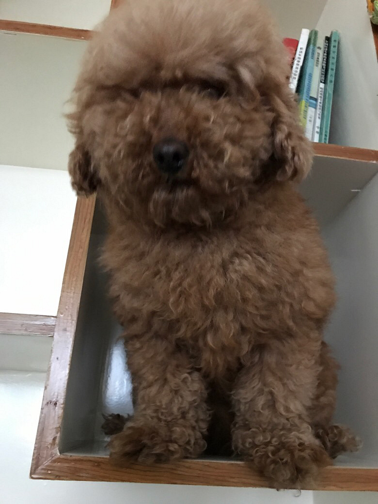 Ѱ����ʾ����Ѱ����ʾ����