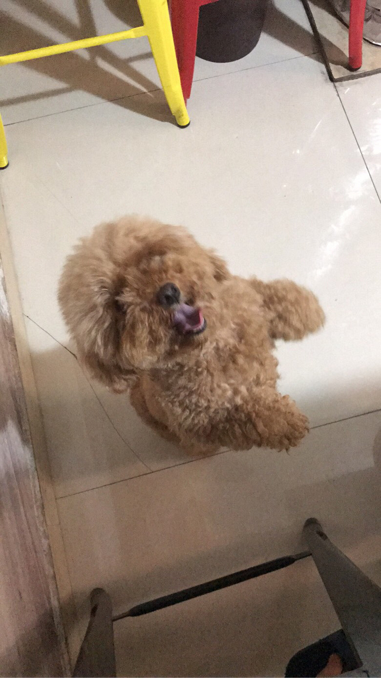 Ѱ����ʾ����Ѱ����ʾ����