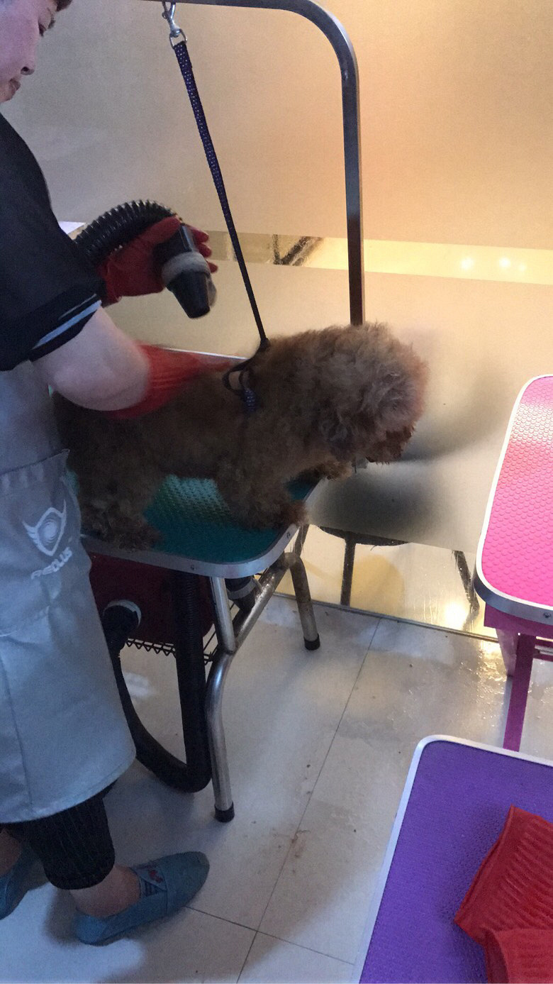 Ѱ����ʾ����Ѱ����ʾ����