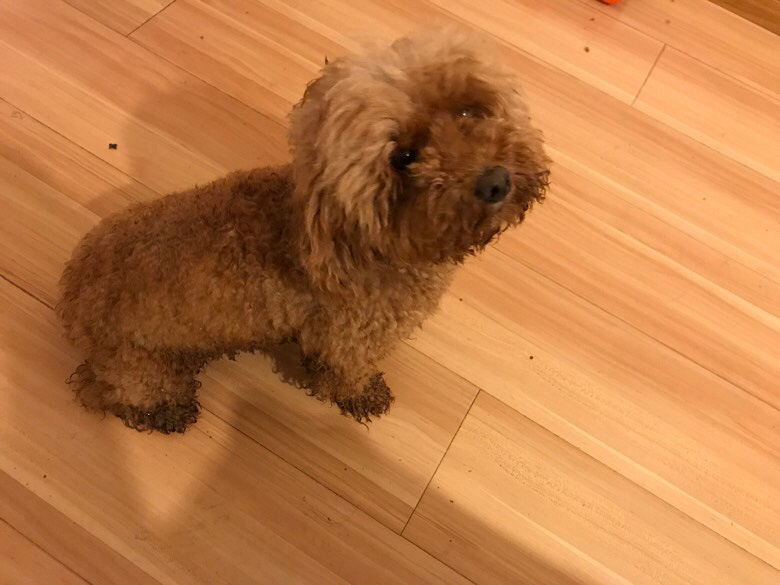 Ѱ����ʾ����Ѱ����ʾ����