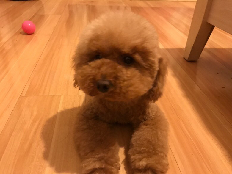 Ѱ����ʾ����Ѱ����ʾ����