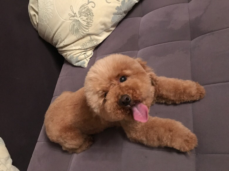 Ѱ����ʾ����Ѱ����ʾ����