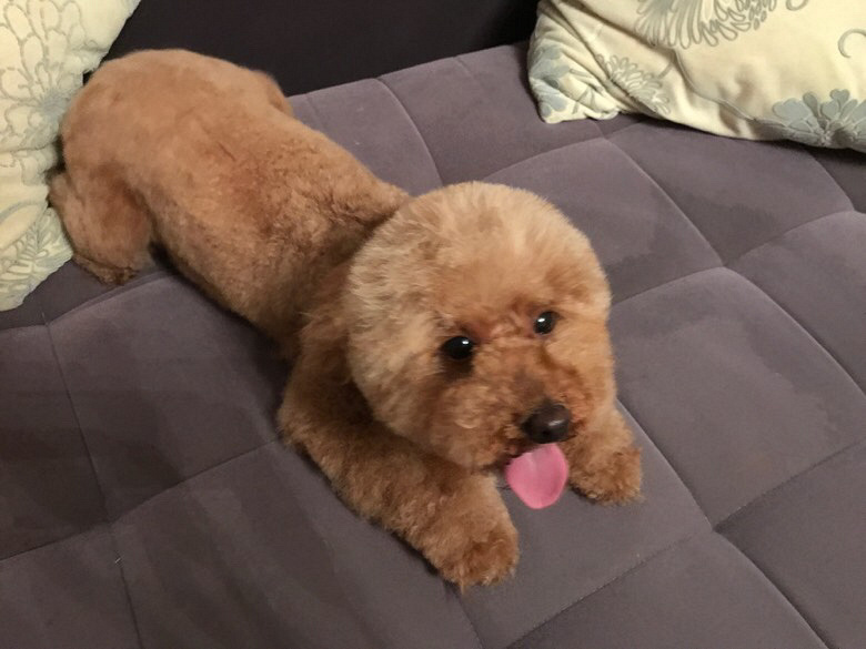 Ѱ����ʾ����Ѱ����ʾ����