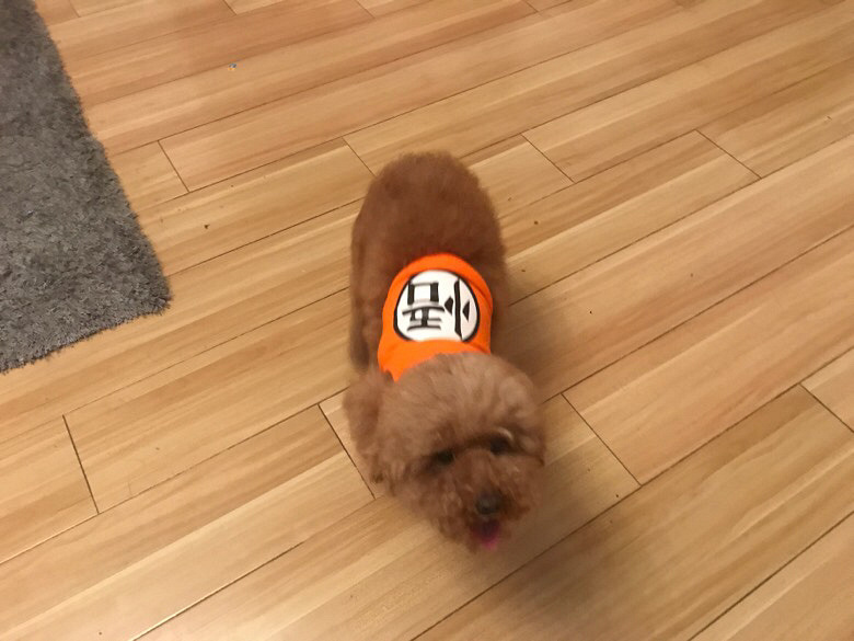 Ѱ����ʾ����Ѱ����ʾ����