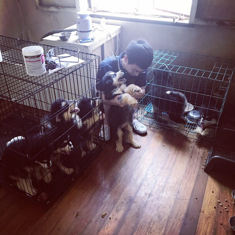 ��������˹��