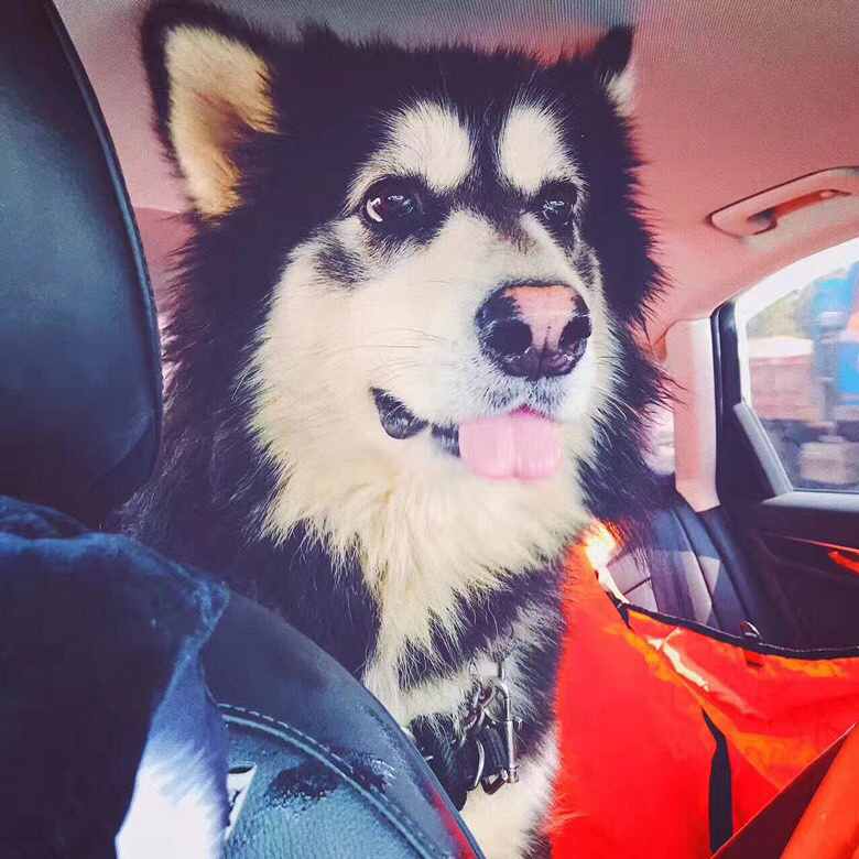 ��������˹��