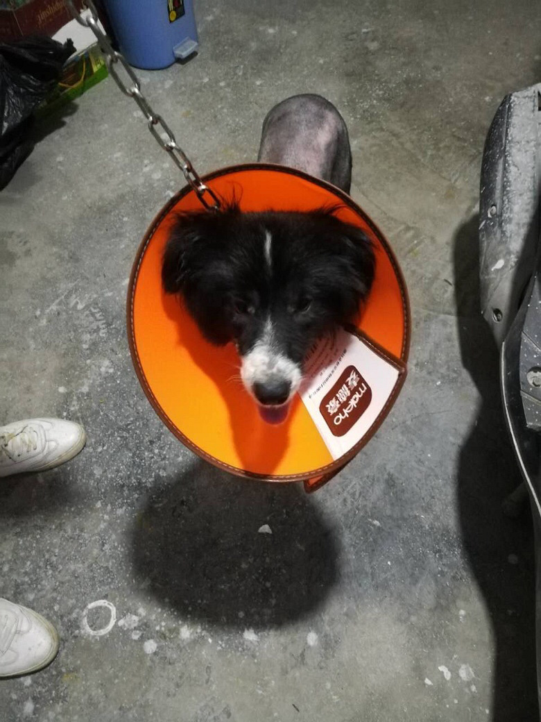 ���߾�Ѱ����